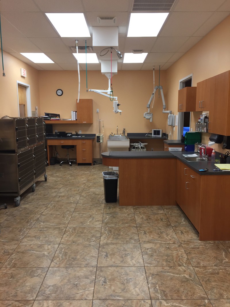 The back room of the clinic used to kennel pets recovering from procedures and do other examinations