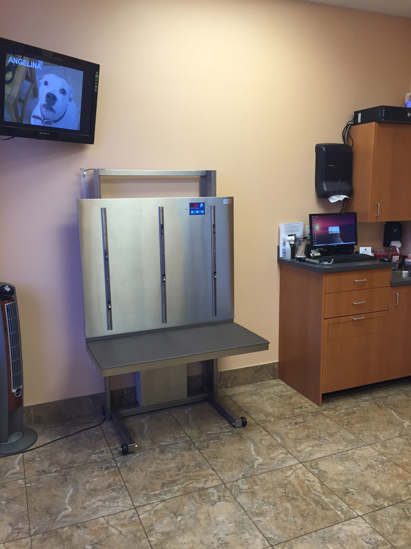 One of the exam rooms for larger pets