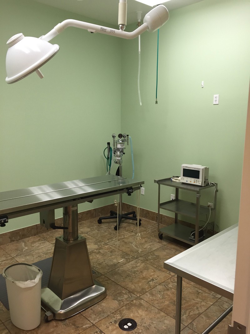 The surgical room